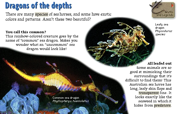 Dragons of the depths