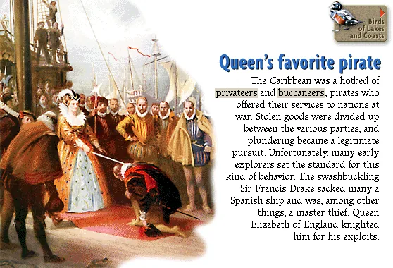 Queen's favorite pirate