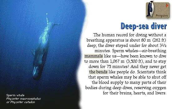 Deep-sea diver