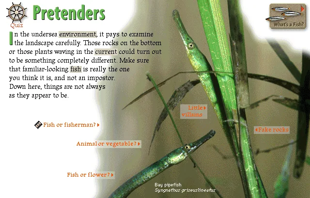 Pretenders