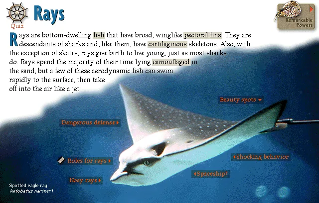 Rays