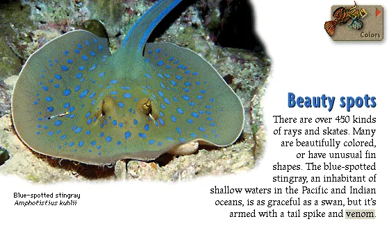 Beauty spots