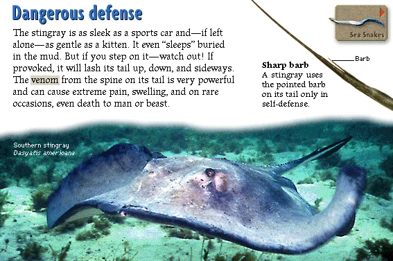 Dangerous defense