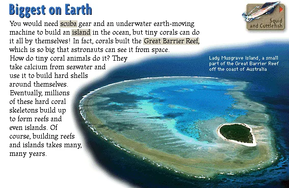 Biggest on Earth