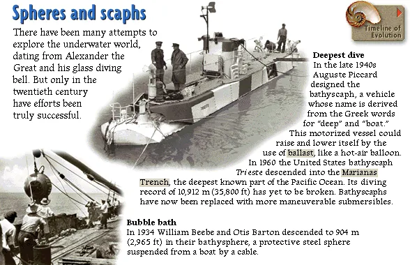 Spheres and scaphs