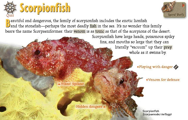 Scorpionfish