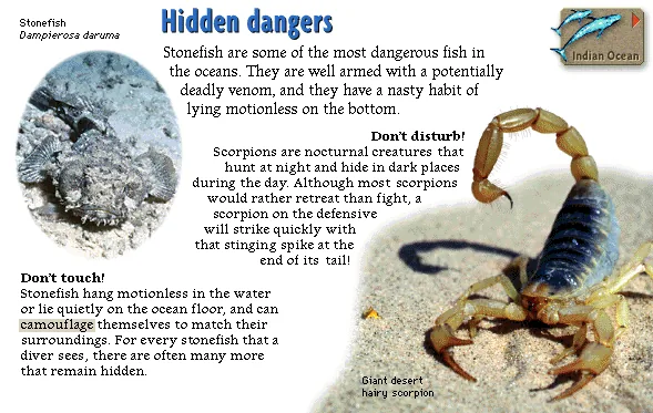 Hidden dangers