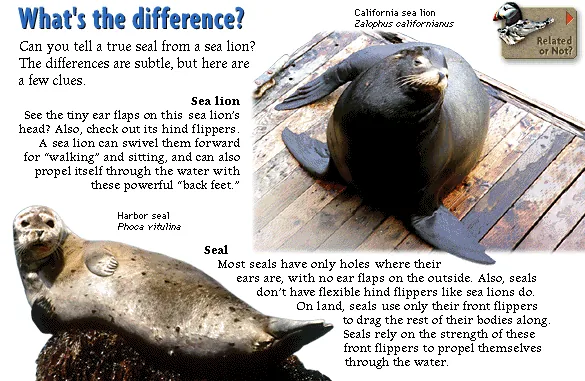 What's the difference?