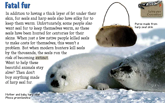 Fatal fur