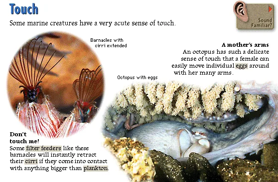 Touch