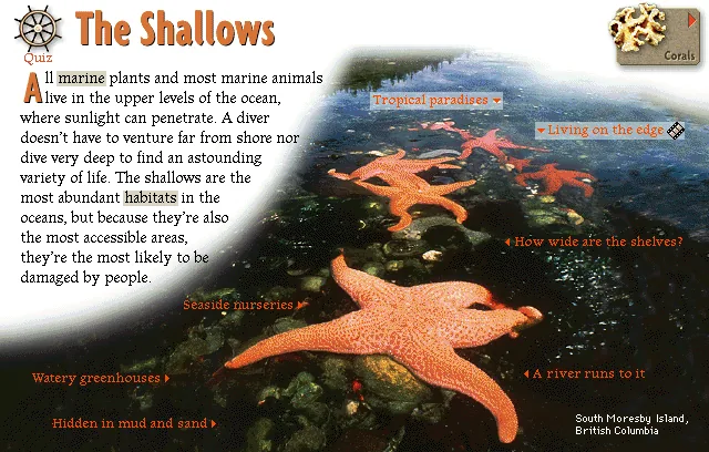 The Shallows
