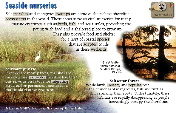 Seaside nurseries