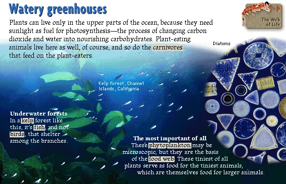 Watery greenhouses