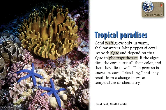 Tropical paradises