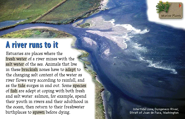 A river runs to it