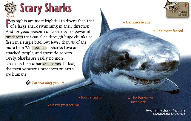 Scary Sharks