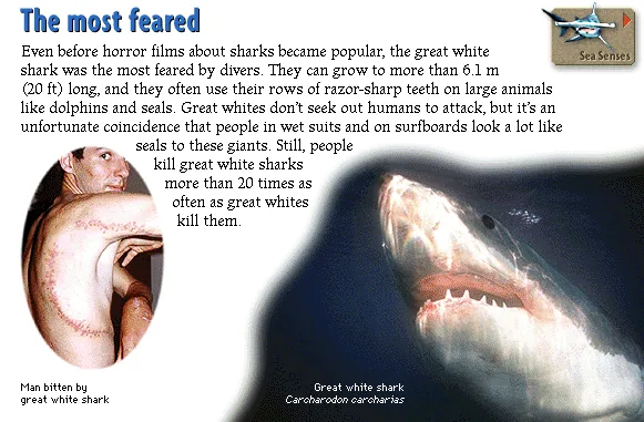 The most feared