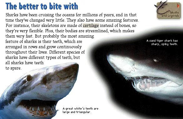 The better to bite with