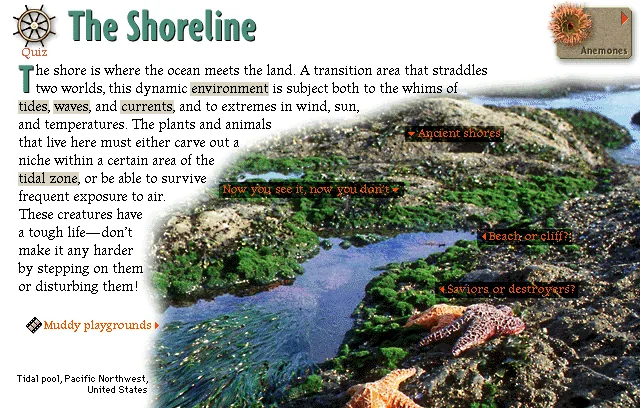 The Shoreline