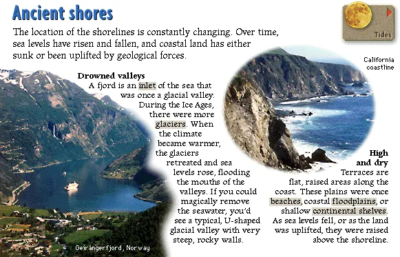 Ancient shores
