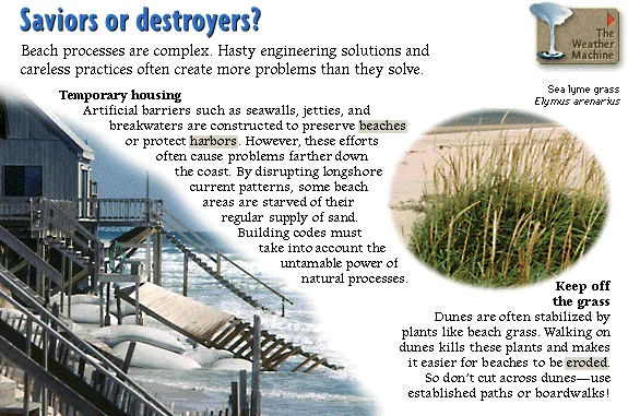 Saviors or destroyers?