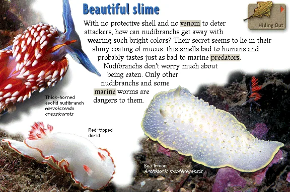 Beautiful slime