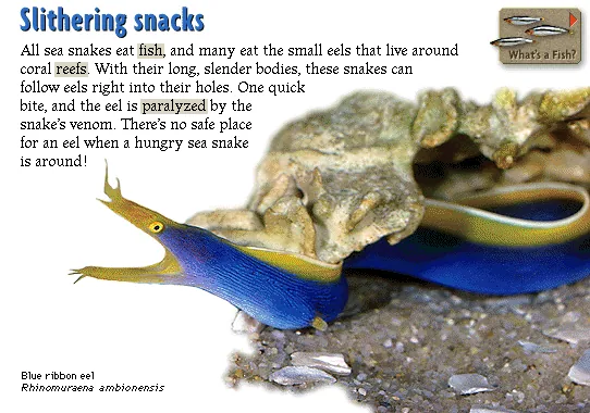 Slithering snacks