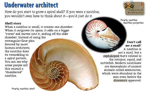 Underwater architect