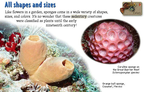 All shapes and sizes