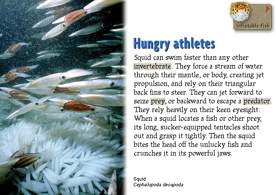 Hungry athletes