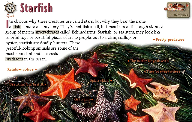 Starfish