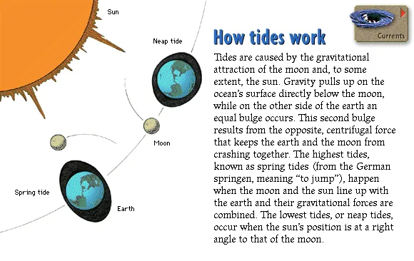 How tides work