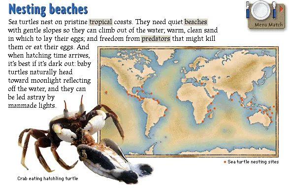 Nesting beaches