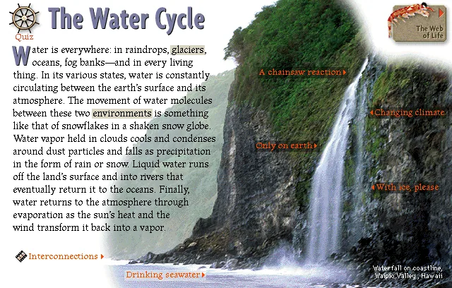 The Water Cycle