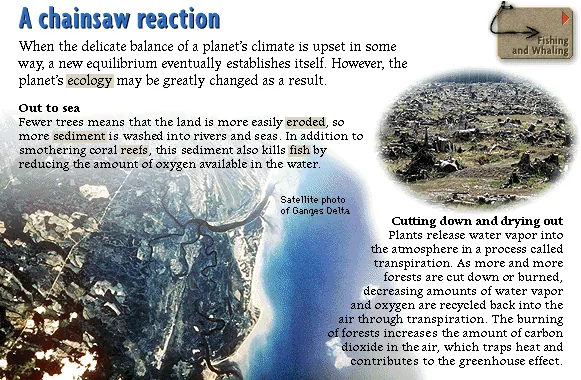 A chainsaw reaction