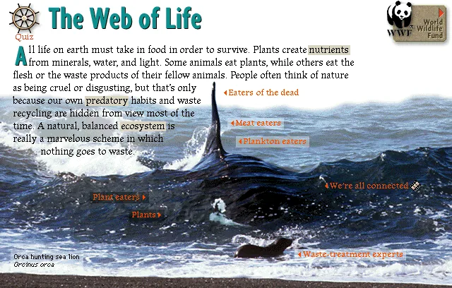 The Web of Life