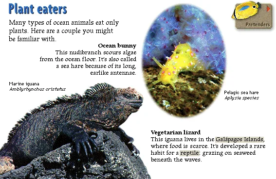 Plant eaters