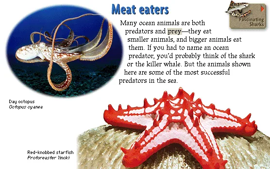 Meat eaters
