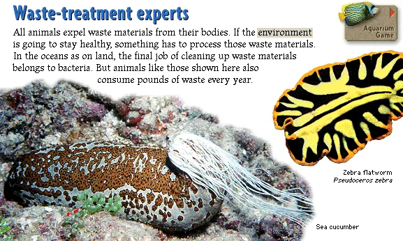 Waste-treatment experts