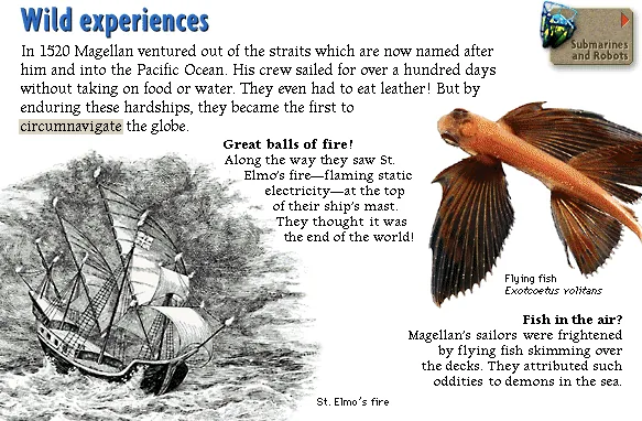 Wild experiences