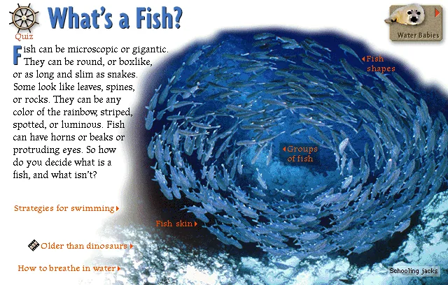 What's a Fish?