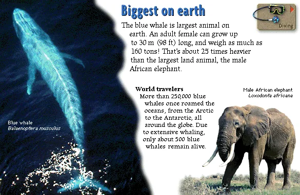 Biggest on earth