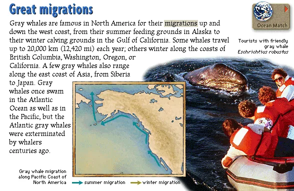 Great migrations