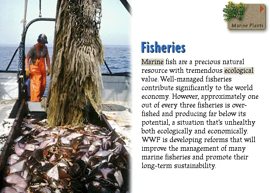 Fisheries